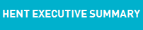 HENT EXEC SUM- KNAP